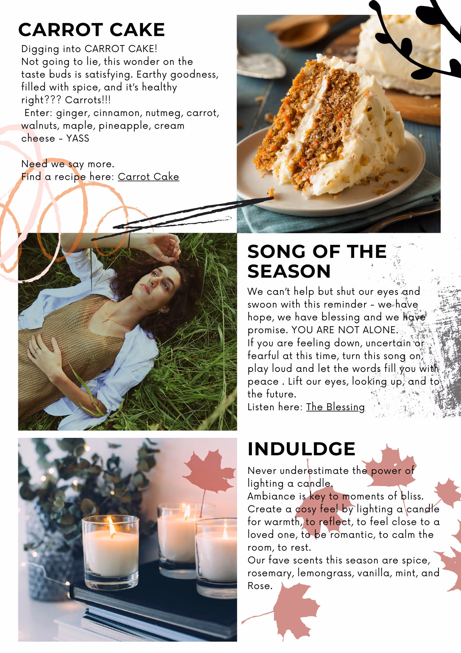 Carrot Cake — The Style Edit, Autumn 2025