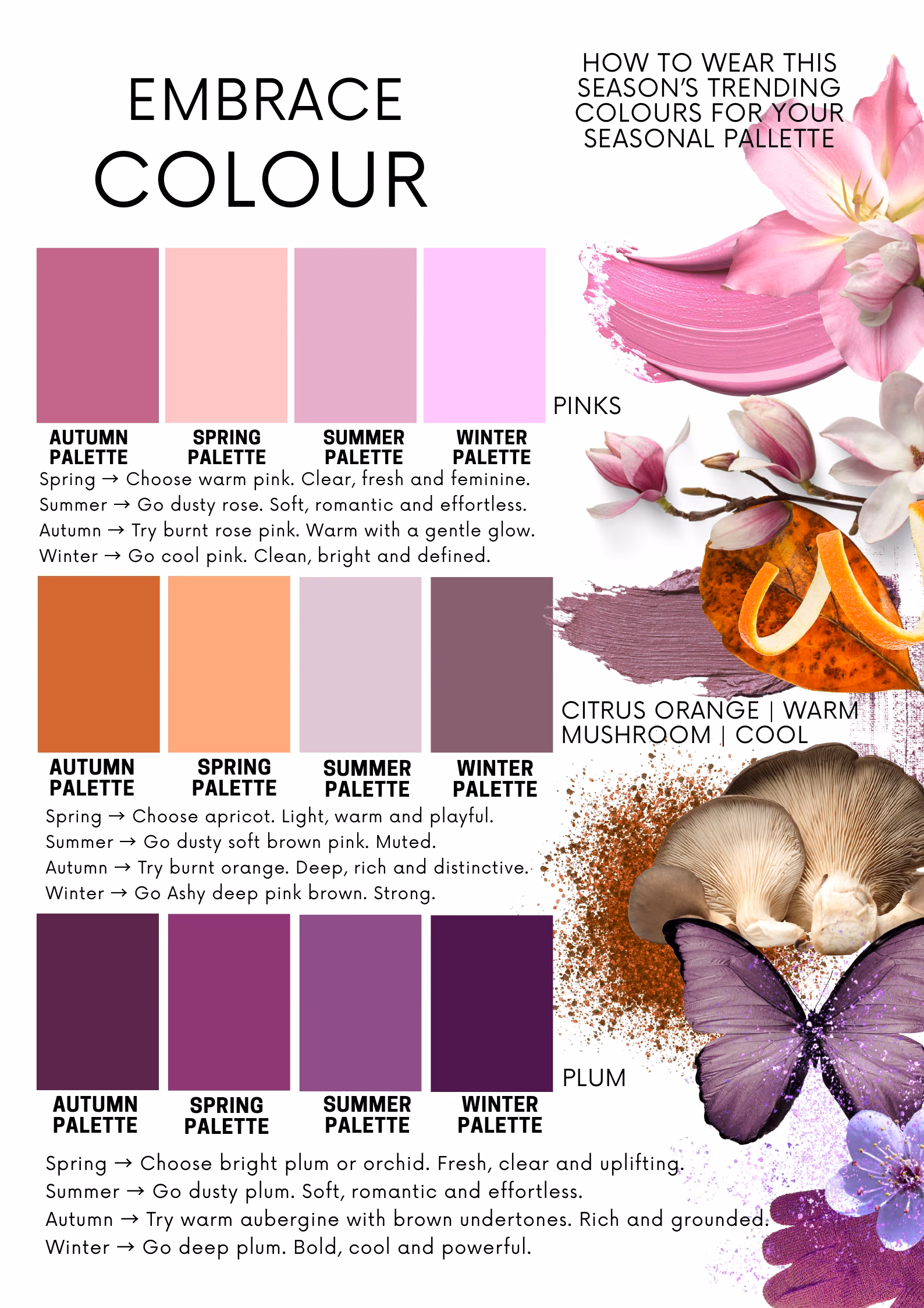 Page 4 — Embrace Colour
