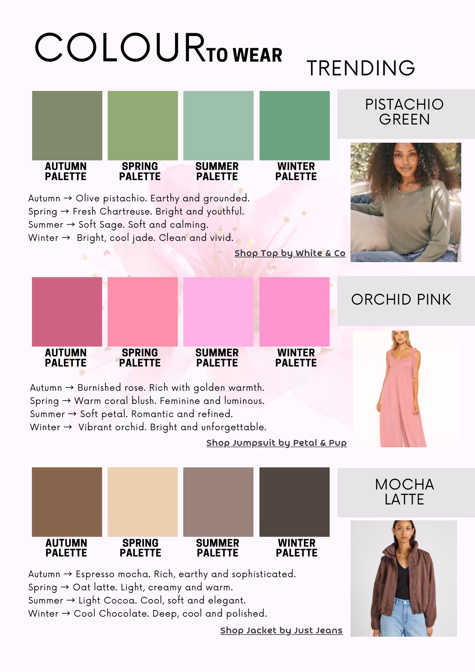 Page 4 - Colour to Wear