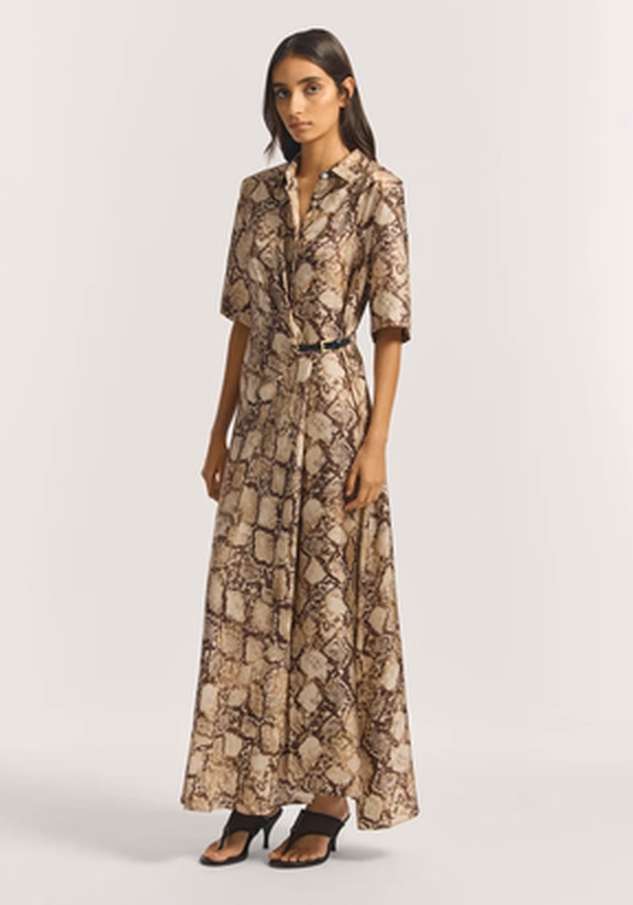Scorpius Silk Dress at Viktoria & Woods